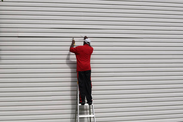 Best Steel Siding Installation  in Lake Mills, IA